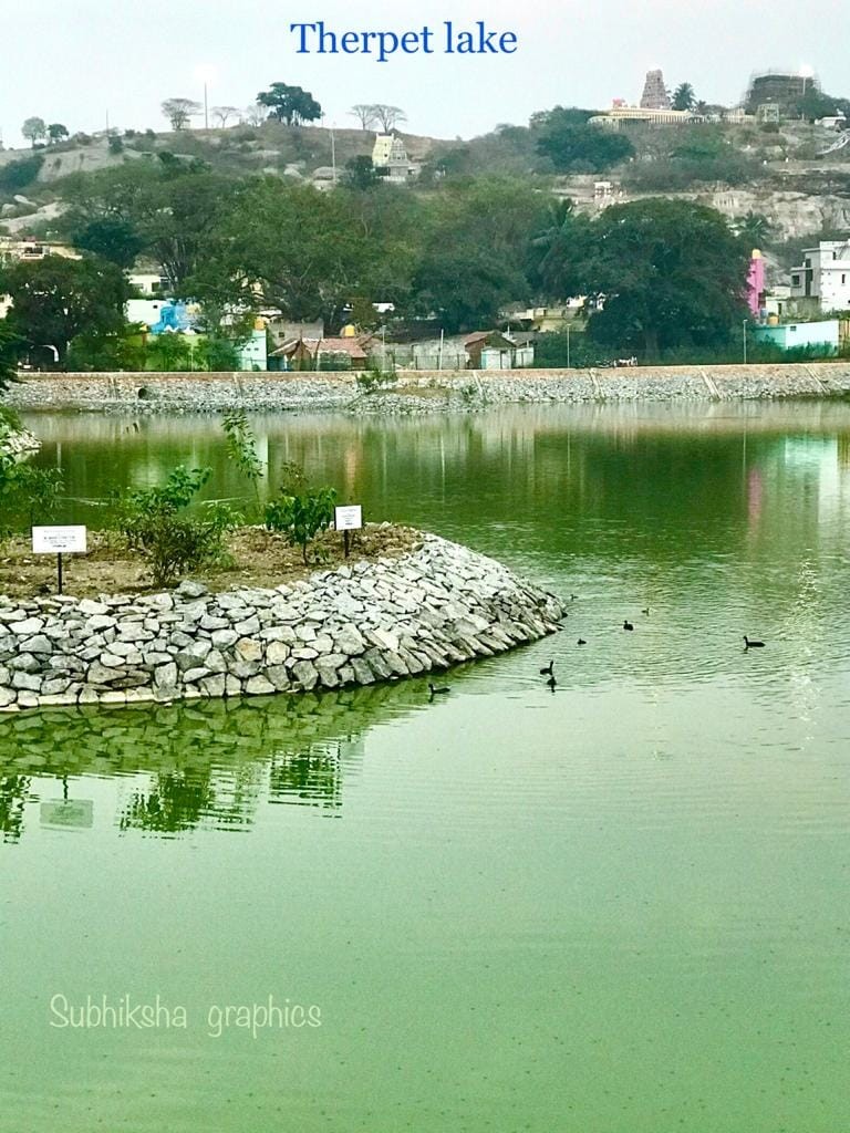 Therpet Lake Rejuvenation