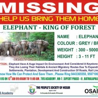 ELEPHANT  AWARENESS Programme Challenges & Solutions