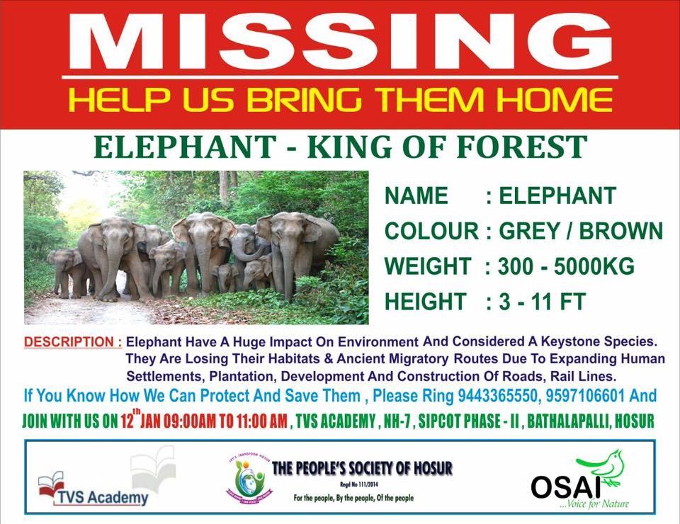 ELEPHANT  AWARENESS Programme Challenges & Solutions
